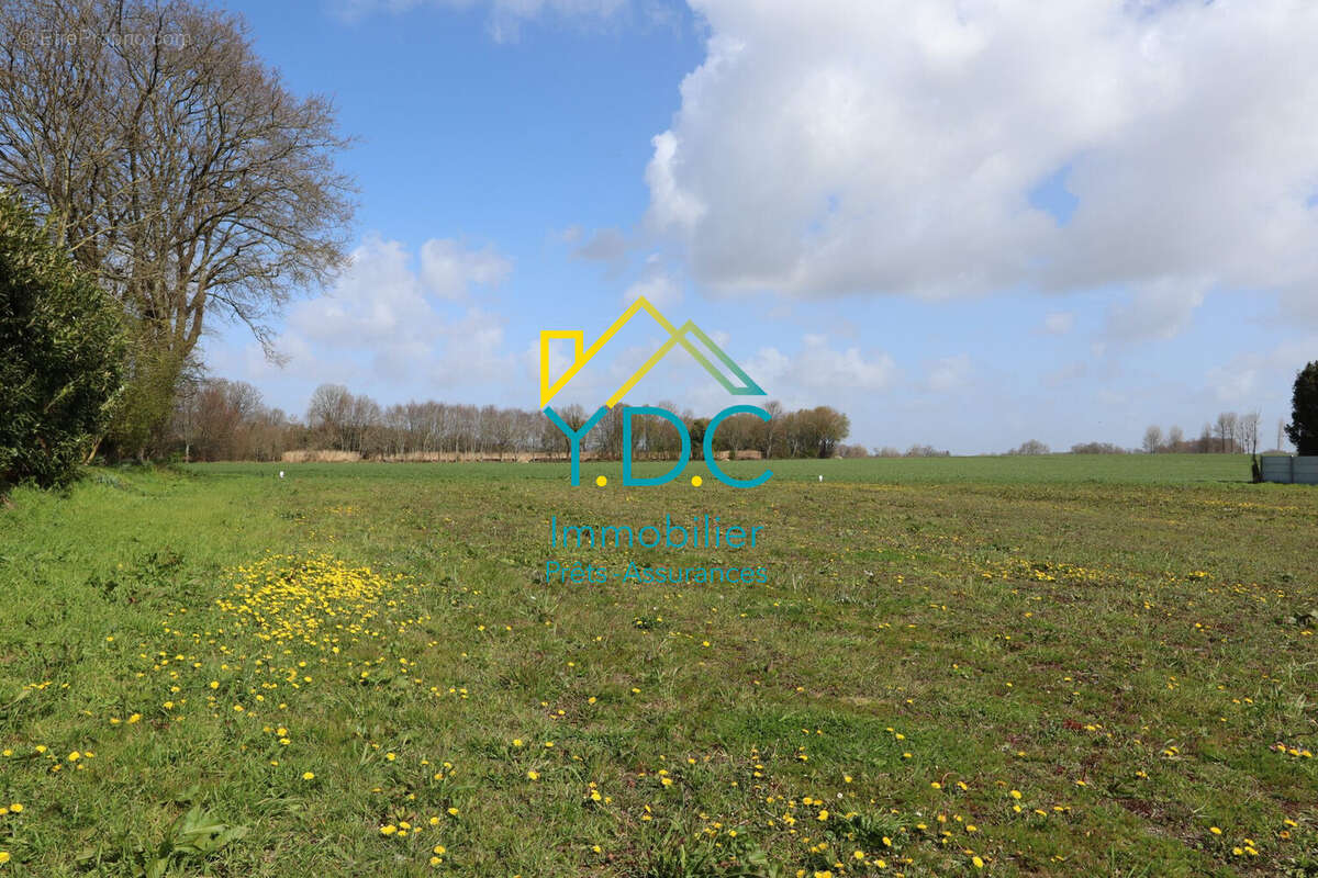  Terrain constructible 1144 m² viabilisé  Héricourt-en-Caux (76)  calme - Terrain à HERICOURT-EN-CAUX