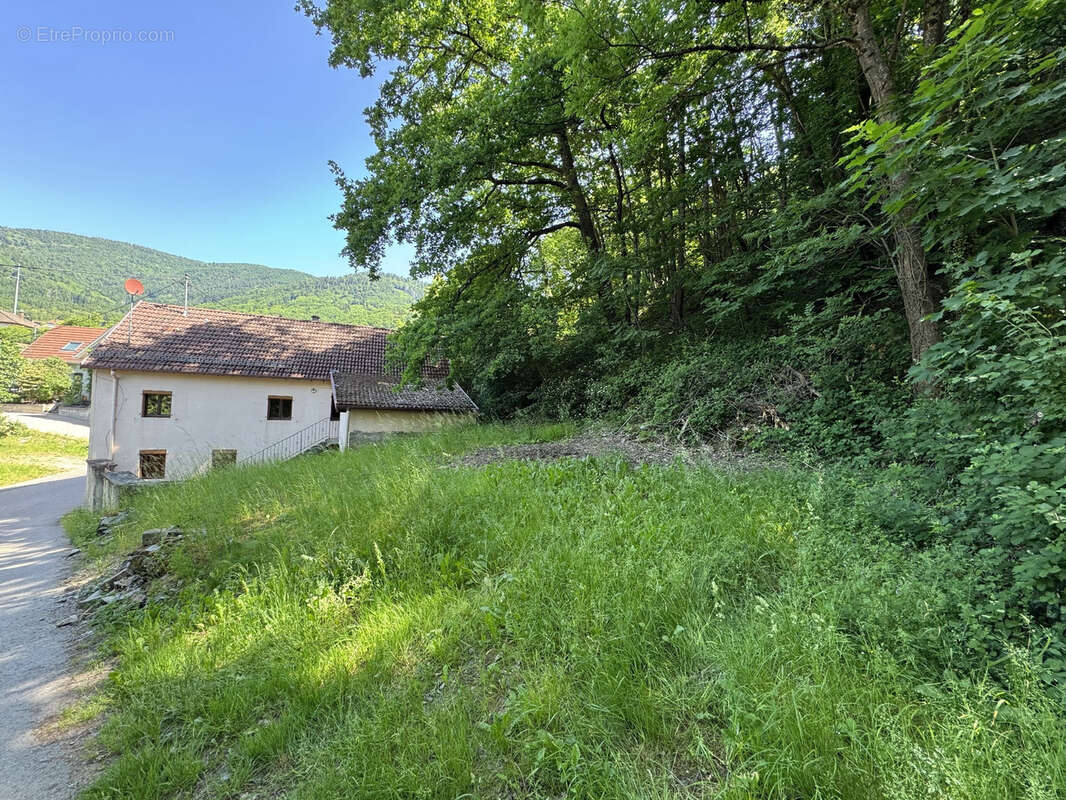 Maison de village en bordure de forêt… - photo 15