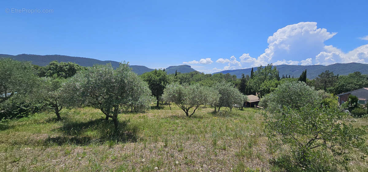 Double villa 200m2 sur un terrain de 5340m2 avec double garage 3 carports et piscine - photo 3