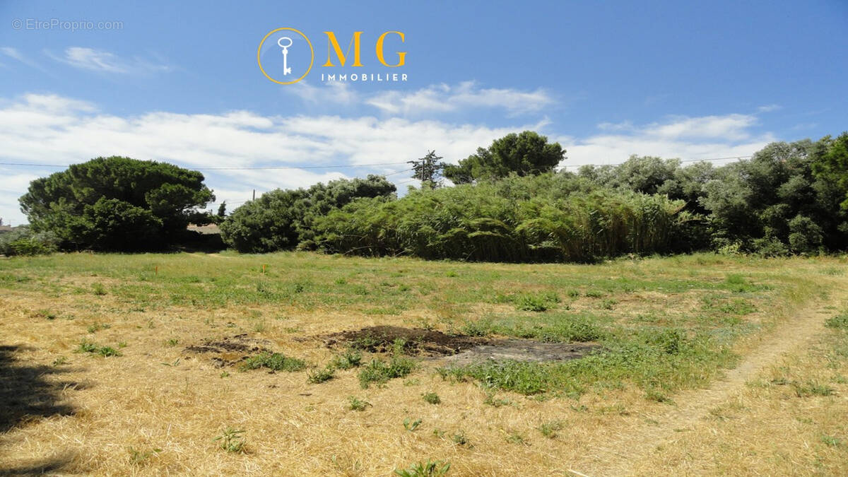 Terrain à SAINT-GILLES