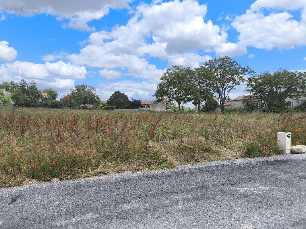 Terrain à MIGNE-AUXANCES