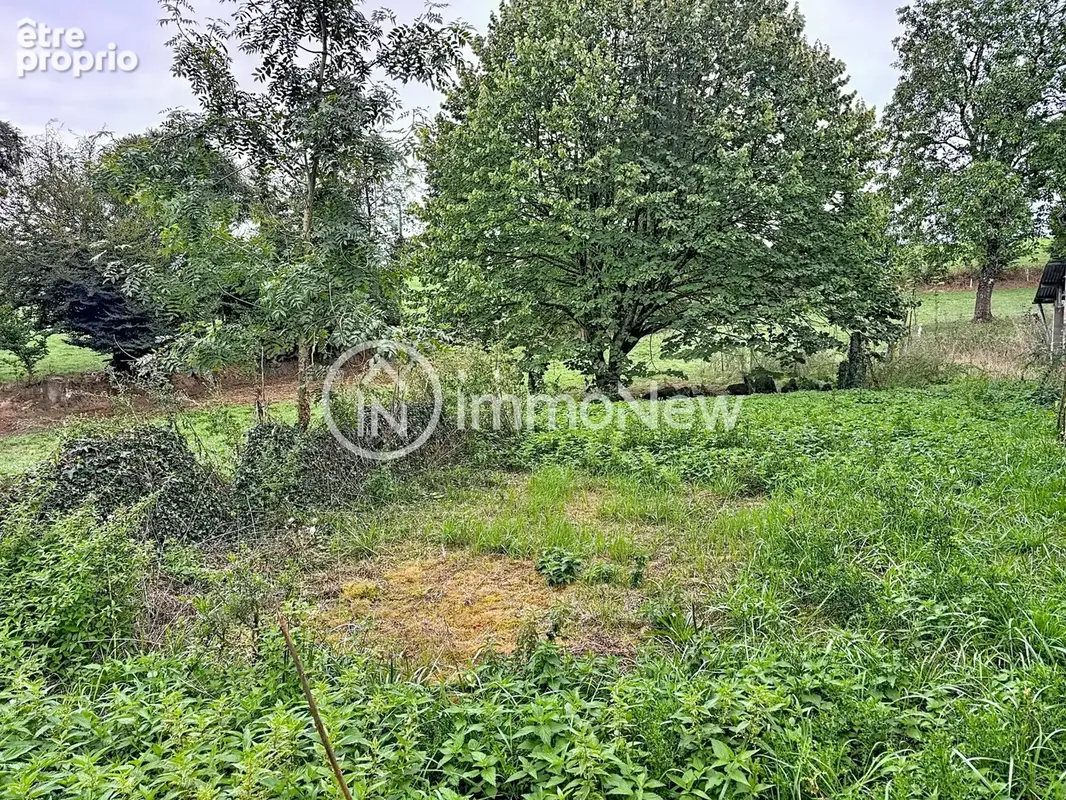 Maison a renover 100 m2 sur terrain 3300 m2 au fond d un chemin - photo 18