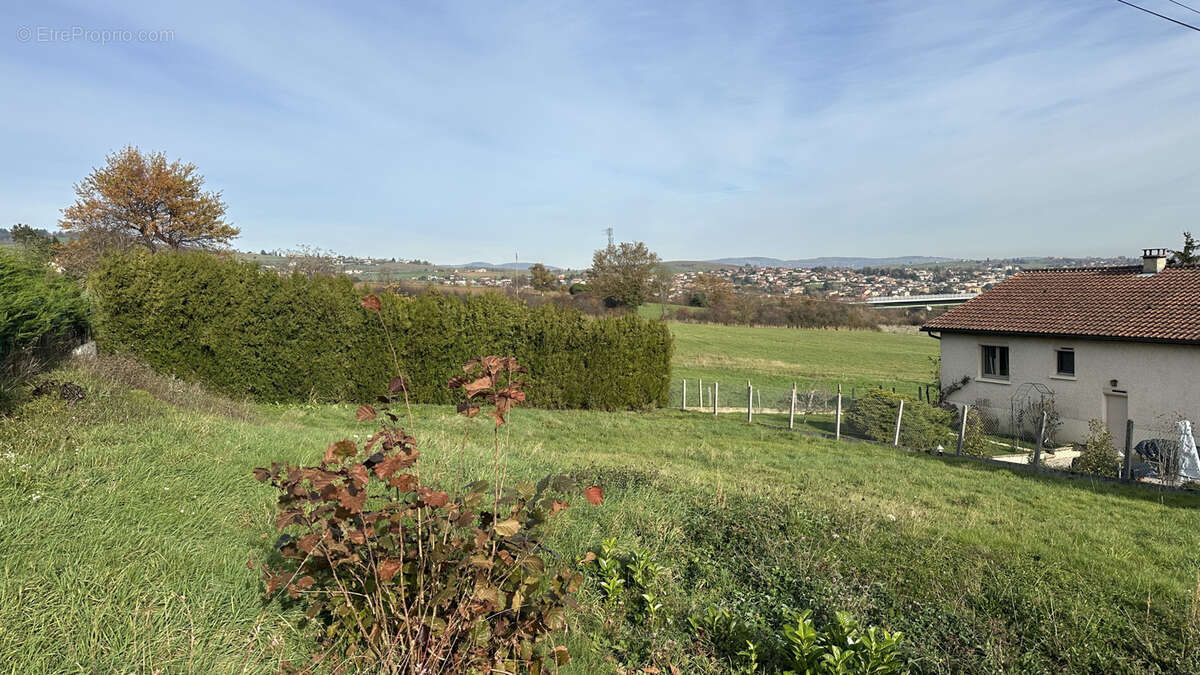 Terrain à SAINT-FORGEUX