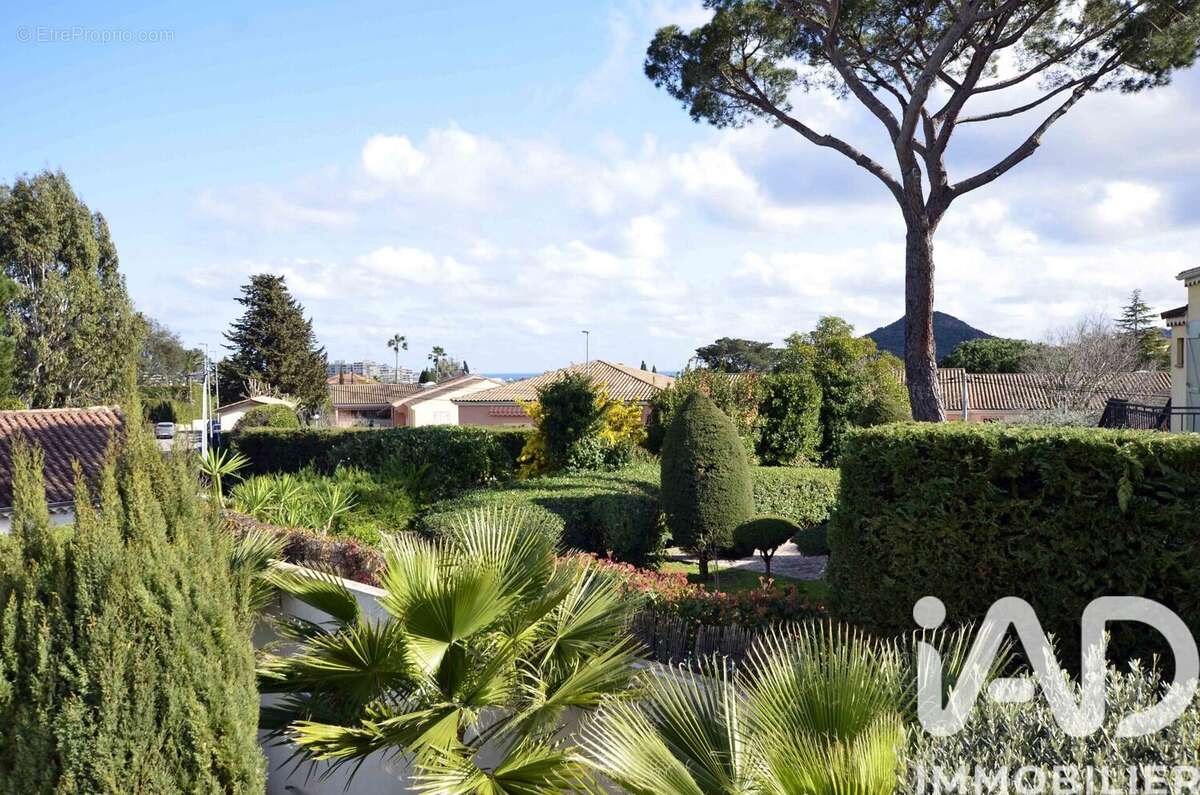 Photo 6 - Maison à MANDELIEU-LA-NAPOULE
