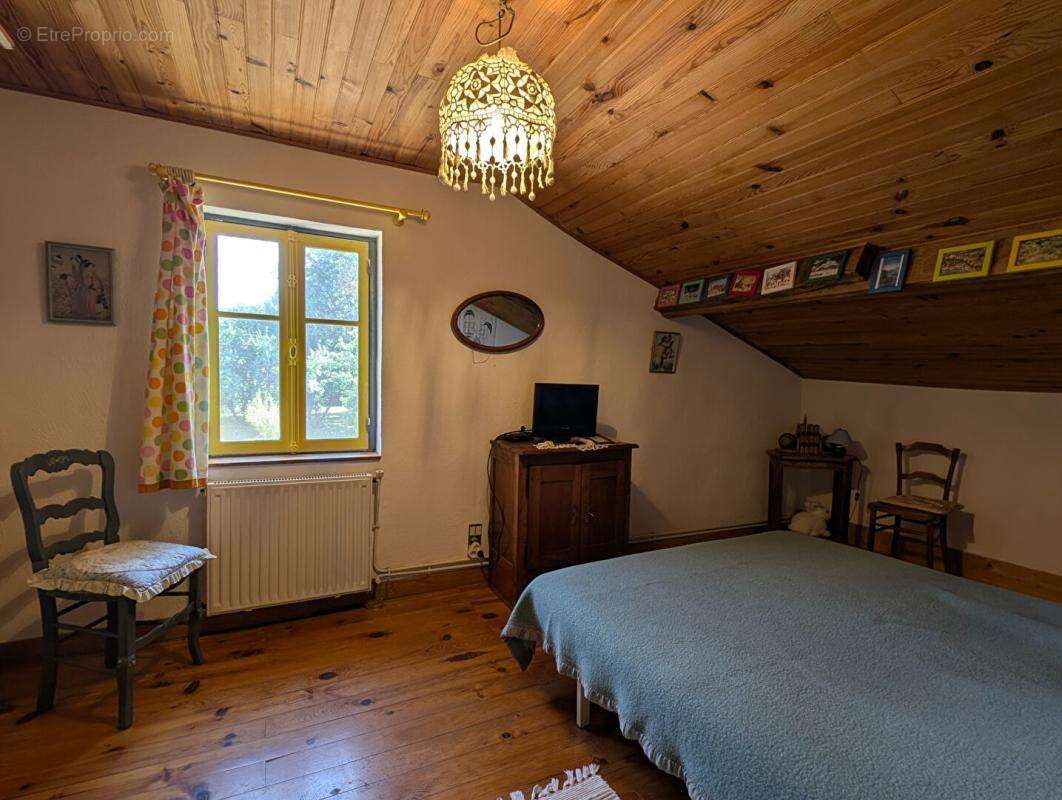Maison Pouy De Touges 7 pièces 253 m2 avec 14 hectares - photo 12