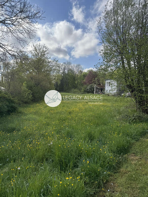 Terrain à MARMOUTIER