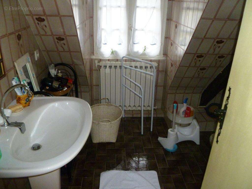 Commerce à GUEMENE-SUR-SCORFF