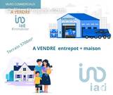 Photo 1 - Commerce à SAINT-JEAN-DE-MONTS