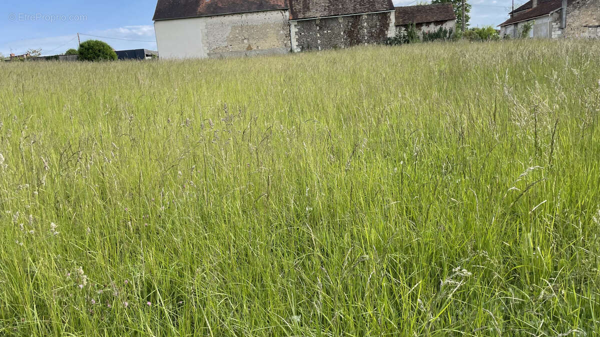 Terrain à COUSSAY-LES-BOIS