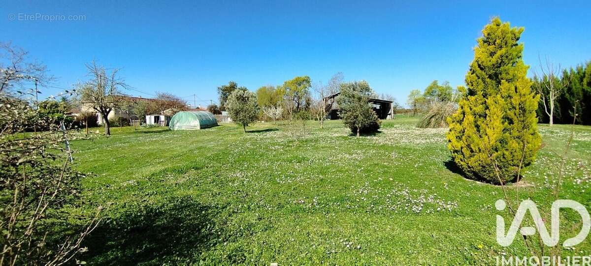 Photo 2 - Terrain à NERE