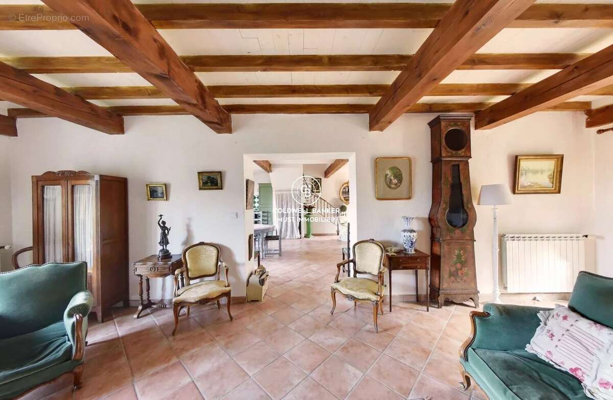 MAS de 295m2 Céret  vue Canigou sur près de 4 Ha - photo 10