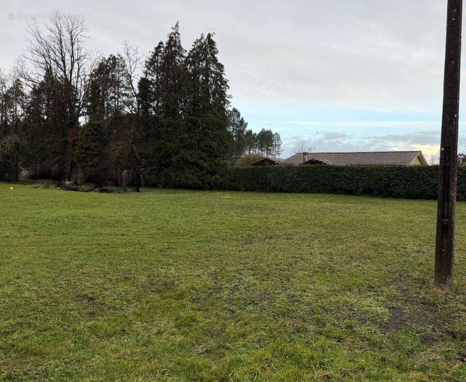 Terrain à SAINT-SYMPHORIEN