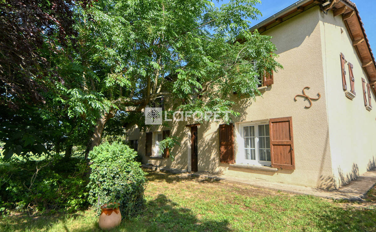 Maison à LISLE-SUR-TARN