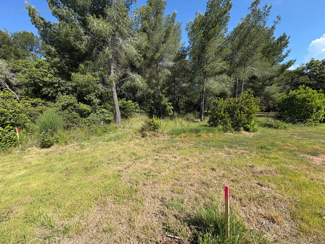 Terrain à OLLIOULES