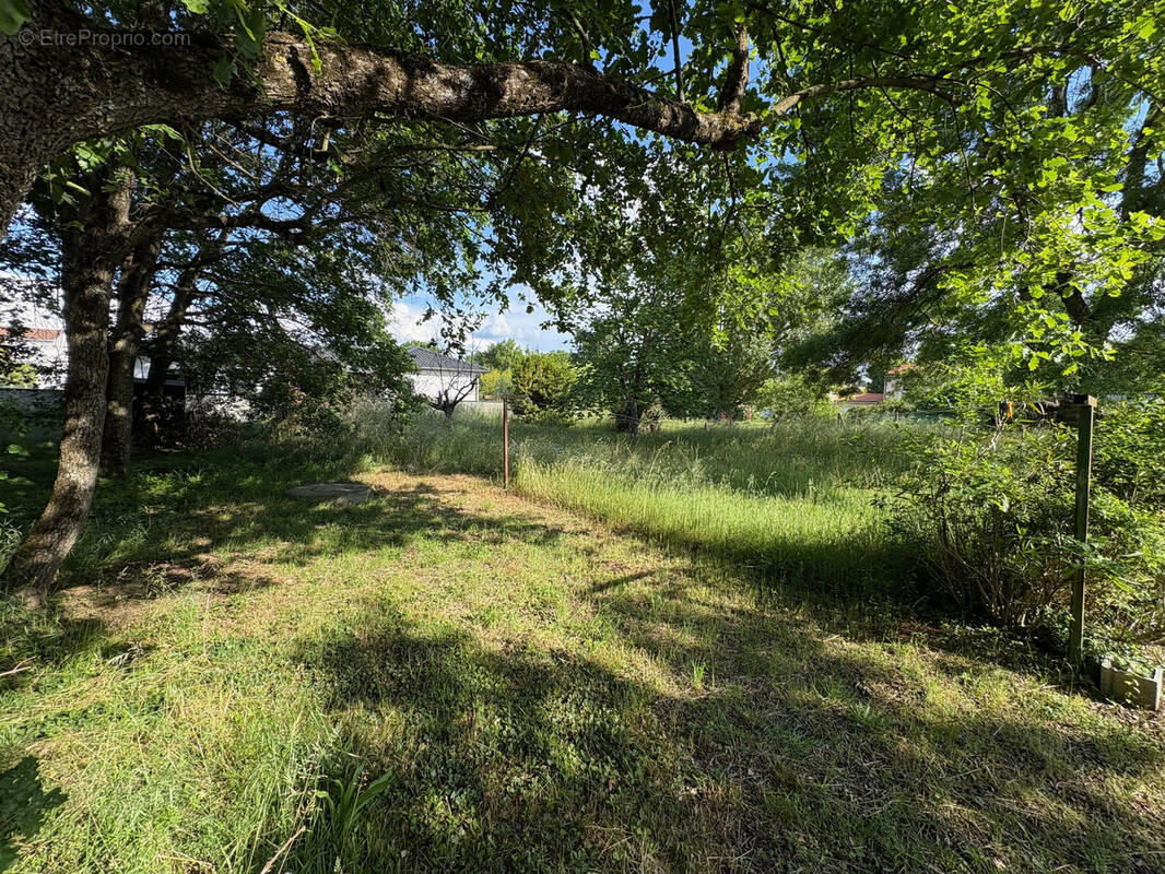 Terrain à LA SALVETAT-SAINT-GILLES