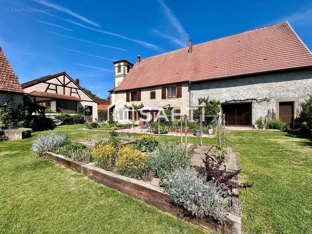 Photo 1 - Maison à BISSERT