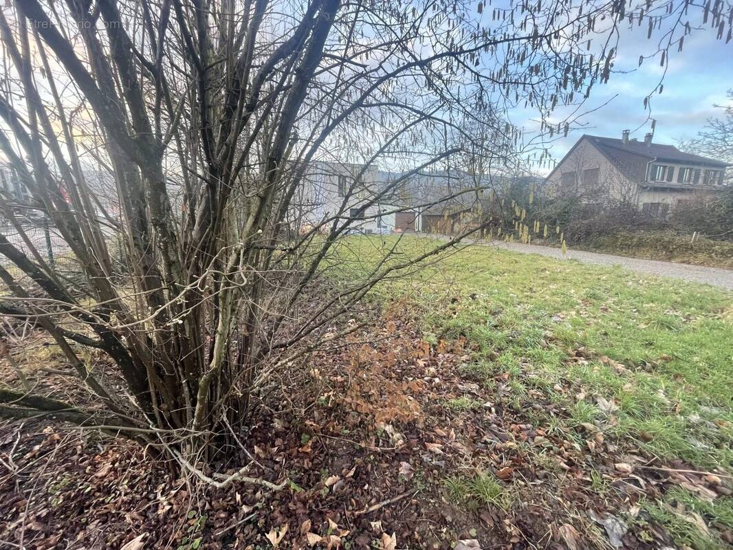 Terrain à WIHR-AU-VAL