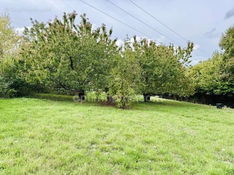 Maison à VIMOUTIERS