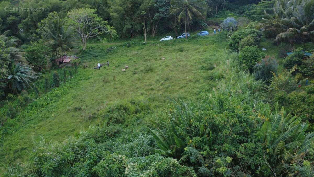 Terrain à LE MORNE-ROUGE