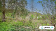 Terrain à CATENOY