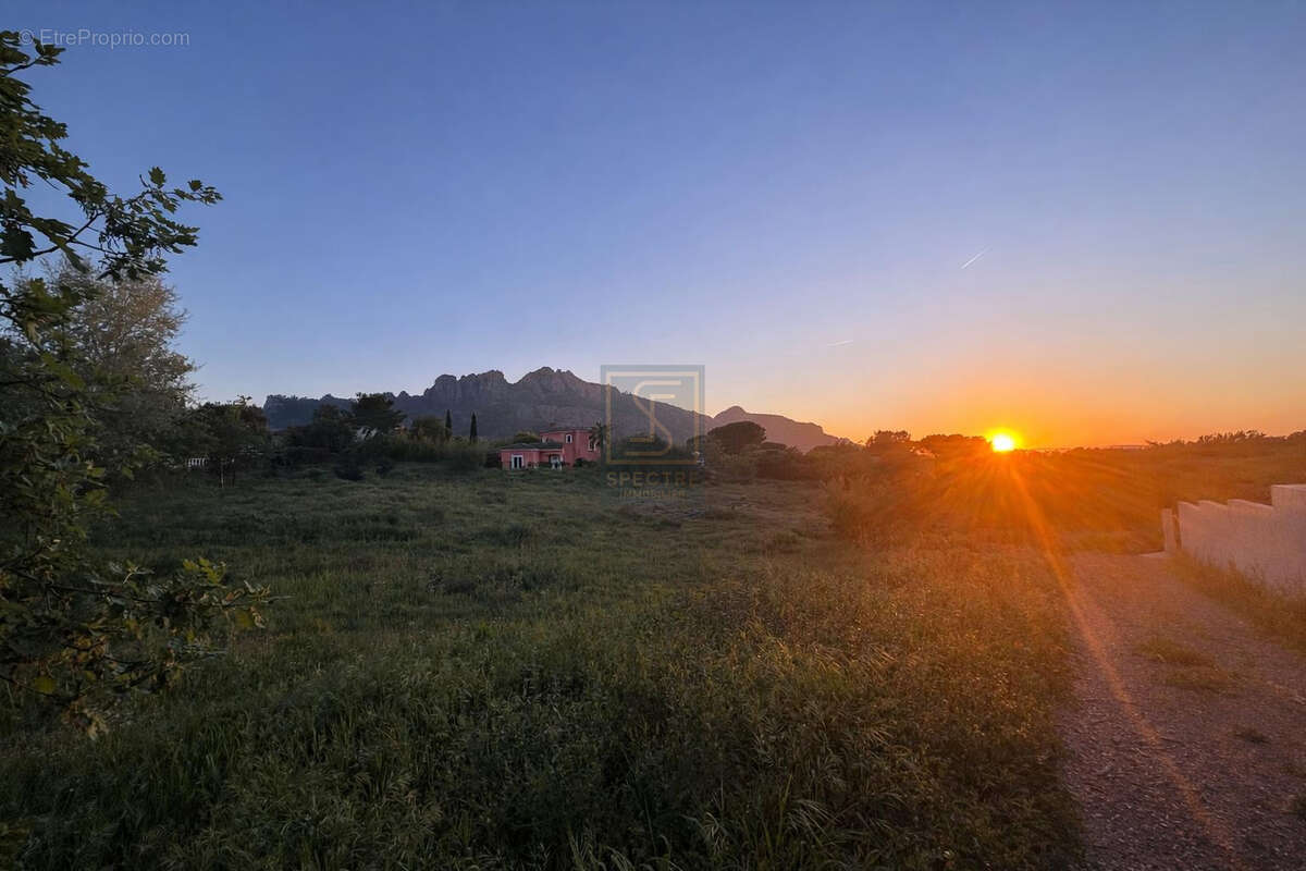 Terrain à ROQUEBRUNE-SUR-ARGENS