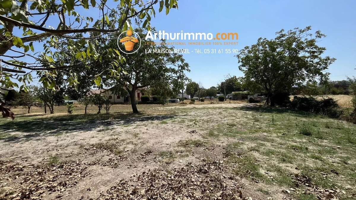 Vente Terrain Revel(31250) 95 000ï¿œ - photo 2