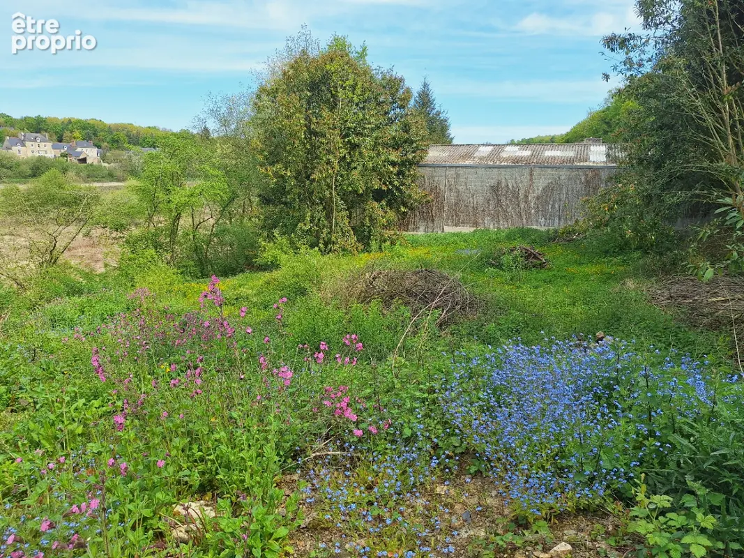 Terrain constructible 607m² et plus possible -  Sortie de bourg, Jugon-les-Lacs à 5mns à pieds. - photo 2