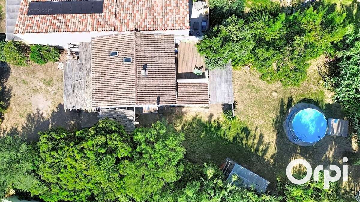 Palombaggia - Villa 3 chambres - photo 26