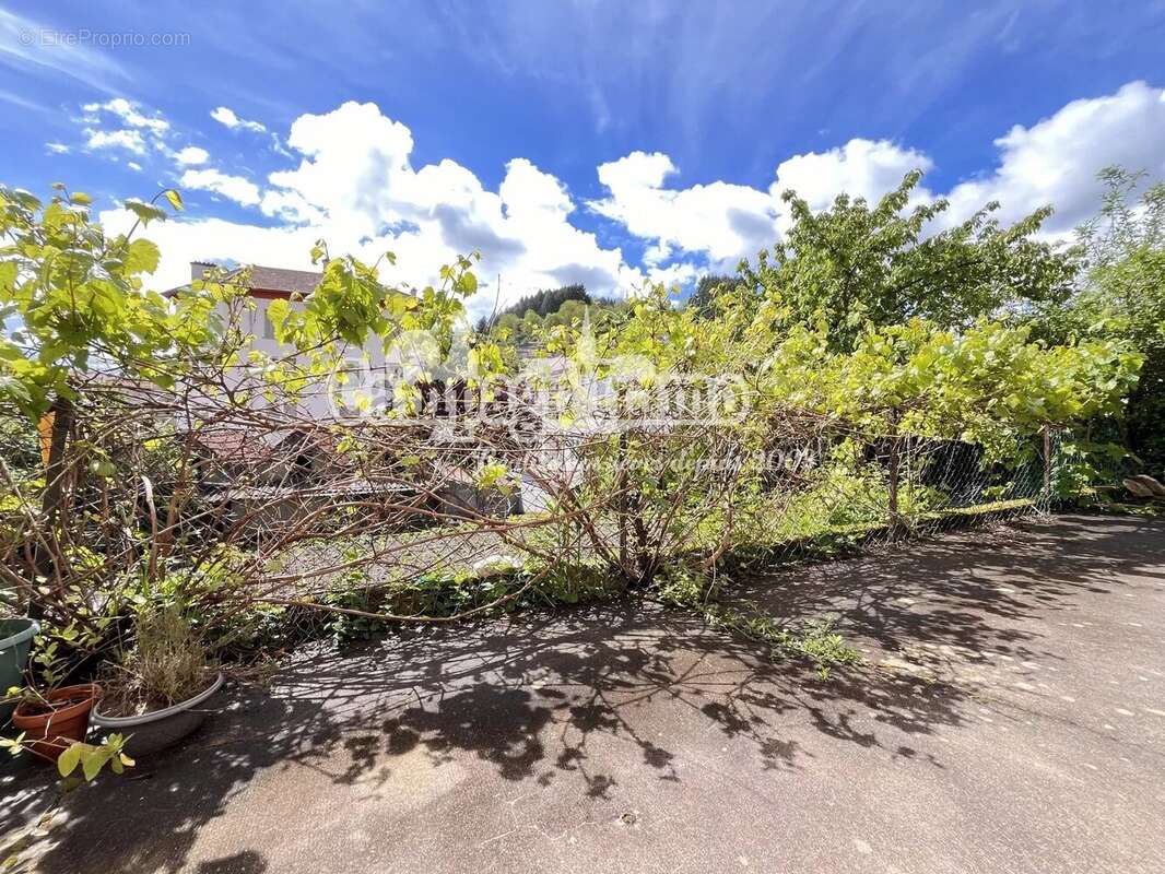 Appartement à TARARE