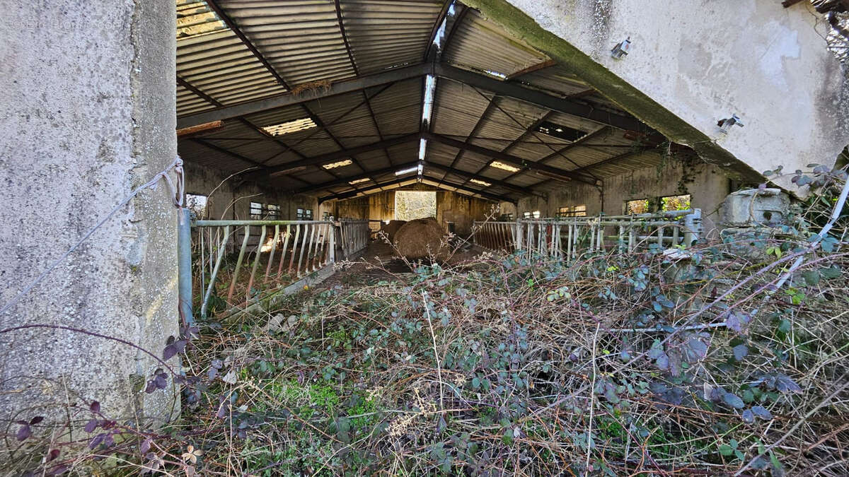 Terrain à LE CHALARD