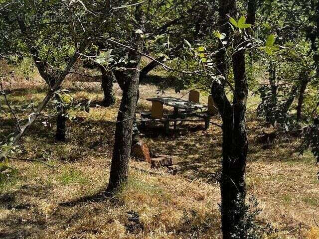 Terrain à OLMET-ET-VILLECUN