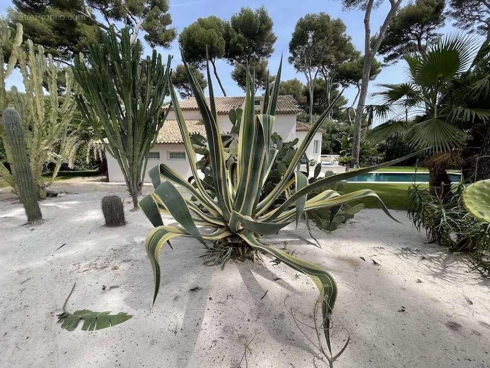 Maison à ANTIBES
