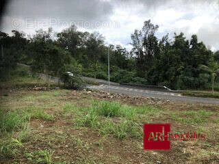 Terrain à LE TAMPON