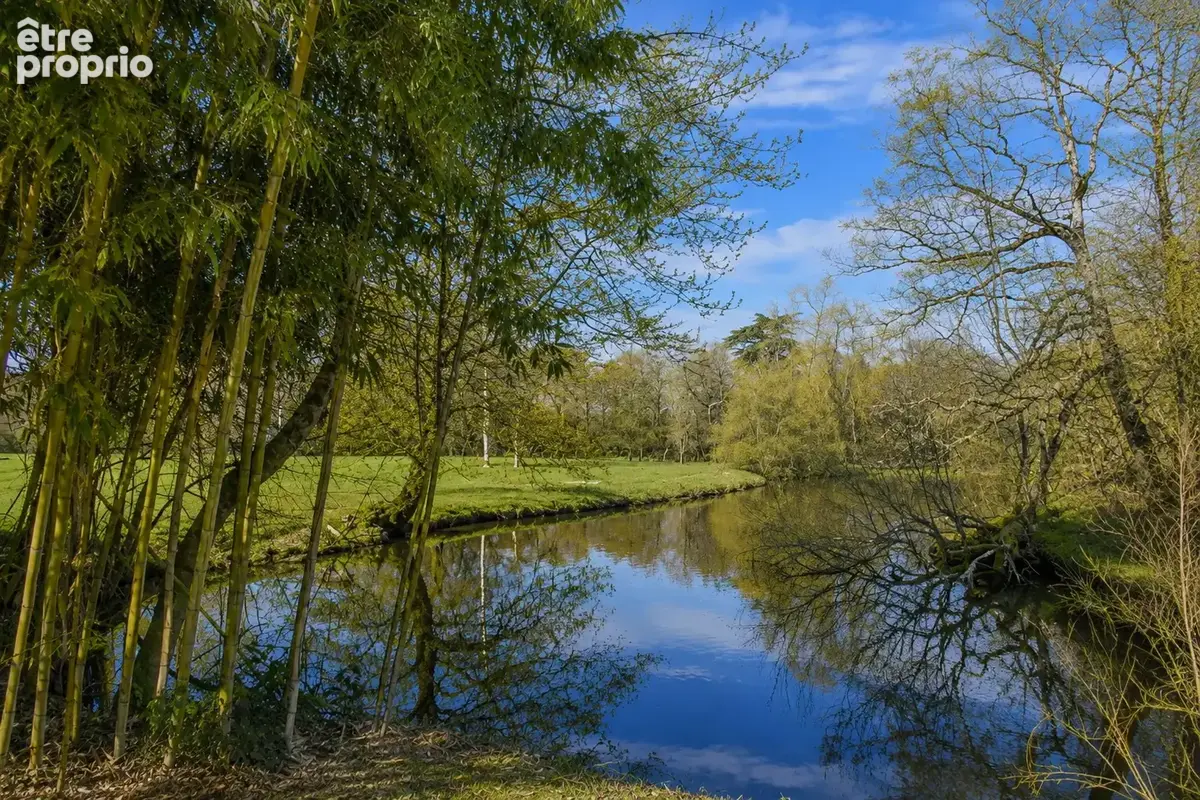 Élégante demeure de caractère avec parc de 7ha - photo 14