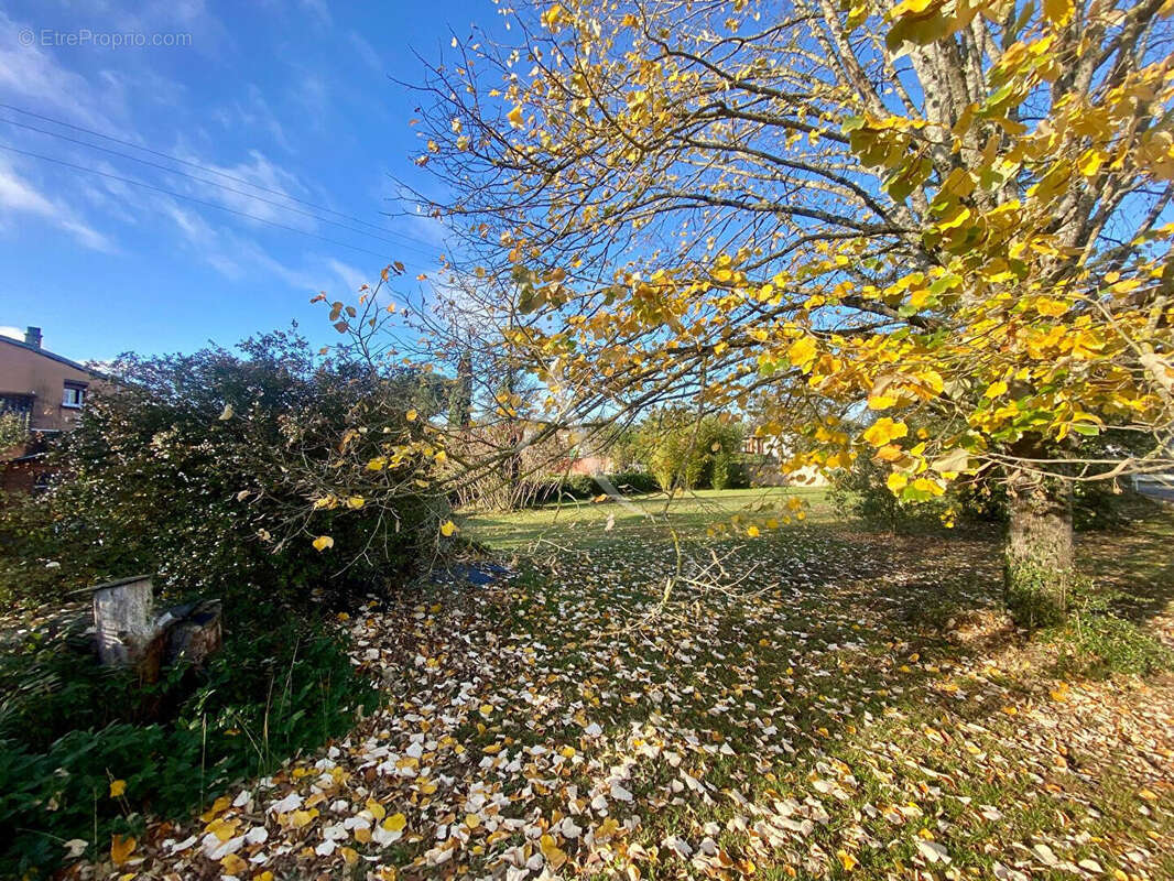 Terrain à BESSIERES