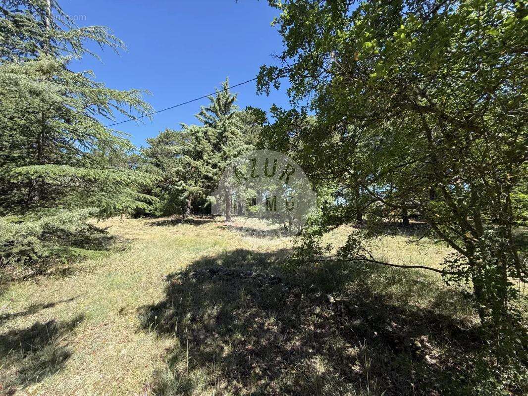 Superbe terrain constructible 1000 m²  , hors lotissement - photo 4