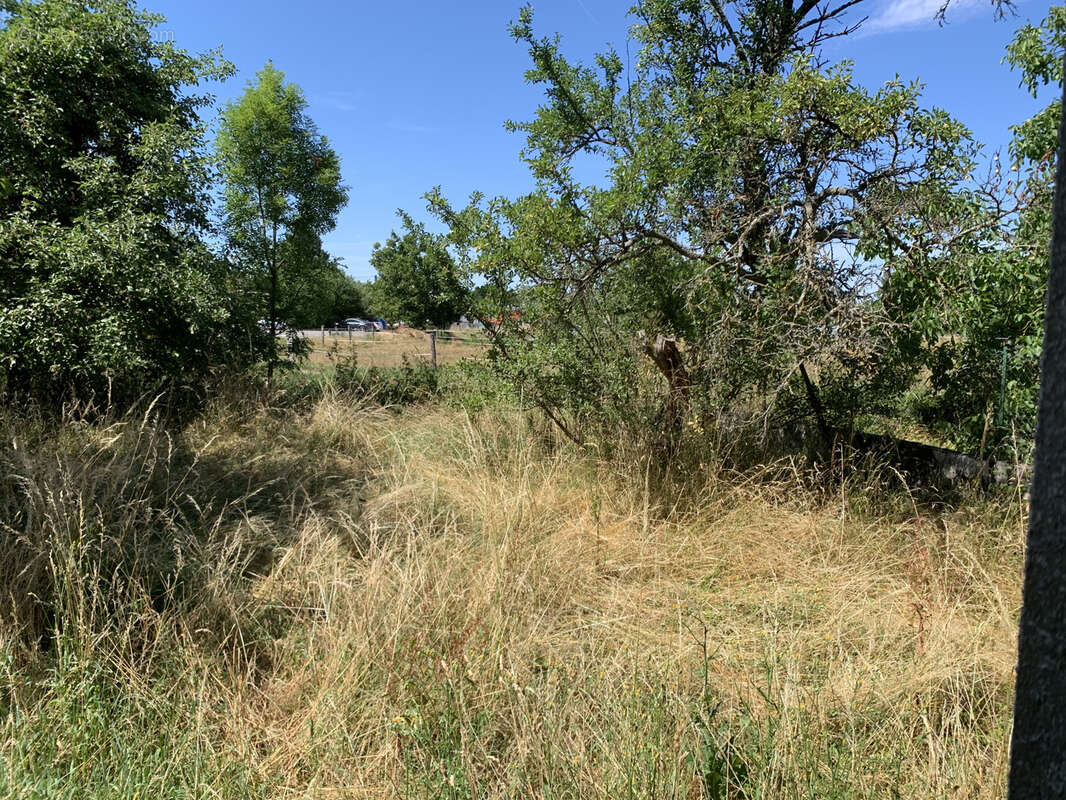 PLAIN PIEDS de 117 m2  sur sous-sol complet - photo 12