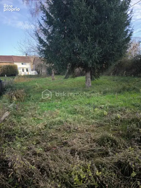 Terrain constructible de 624 m² avec bâti à rénover ou à démolir – La Chapelle Blanche, commune de Saint-Victurnien - photo 4