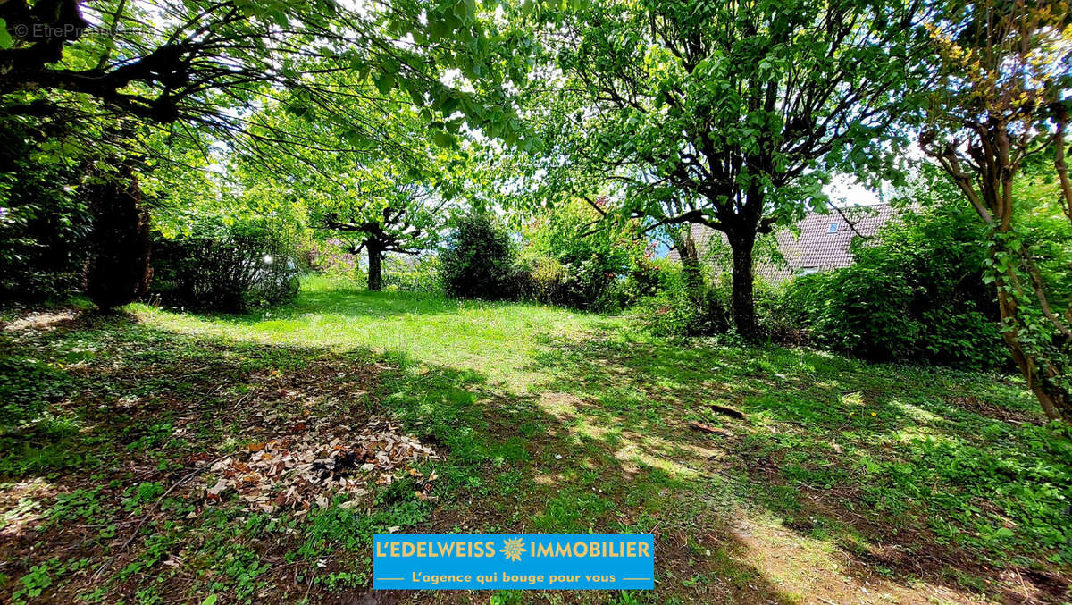 Terrain à PUGNY-CHATENOD