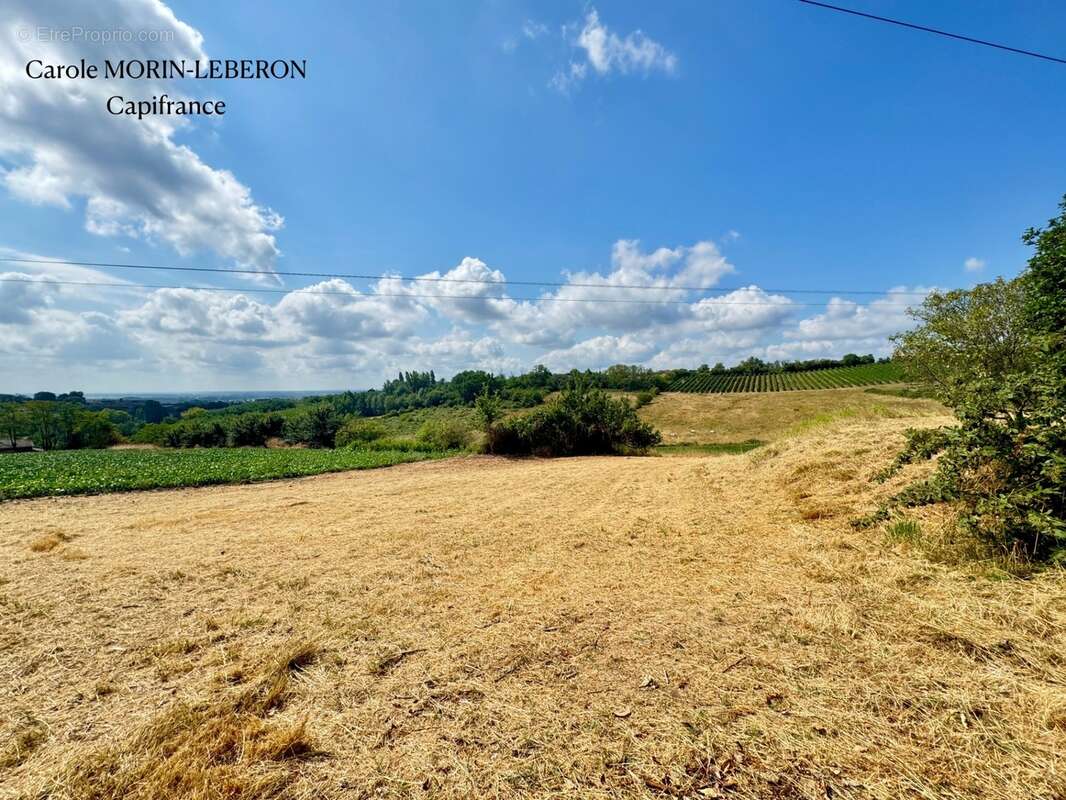 Girondine avec plus de 7 hectares et vue exceptionnelle - photo 15