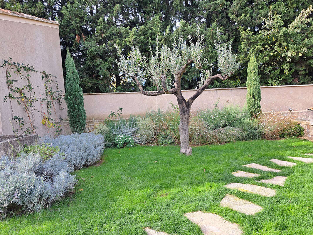 Maison à SAINT-REMY-DE-PROVENCE
