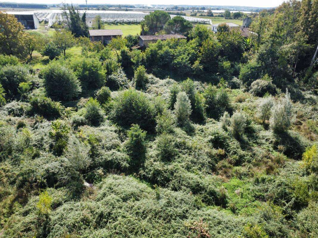 Maison à SAINT-NICOLAS-DE-LA-GRAVE