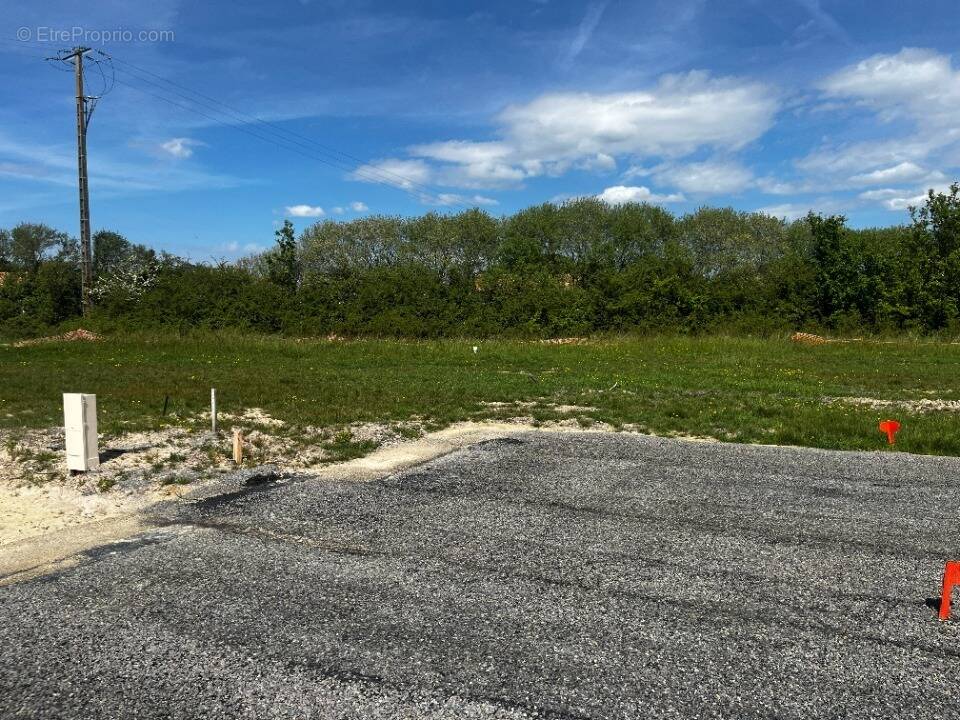 Terrain à SALLERTAINE