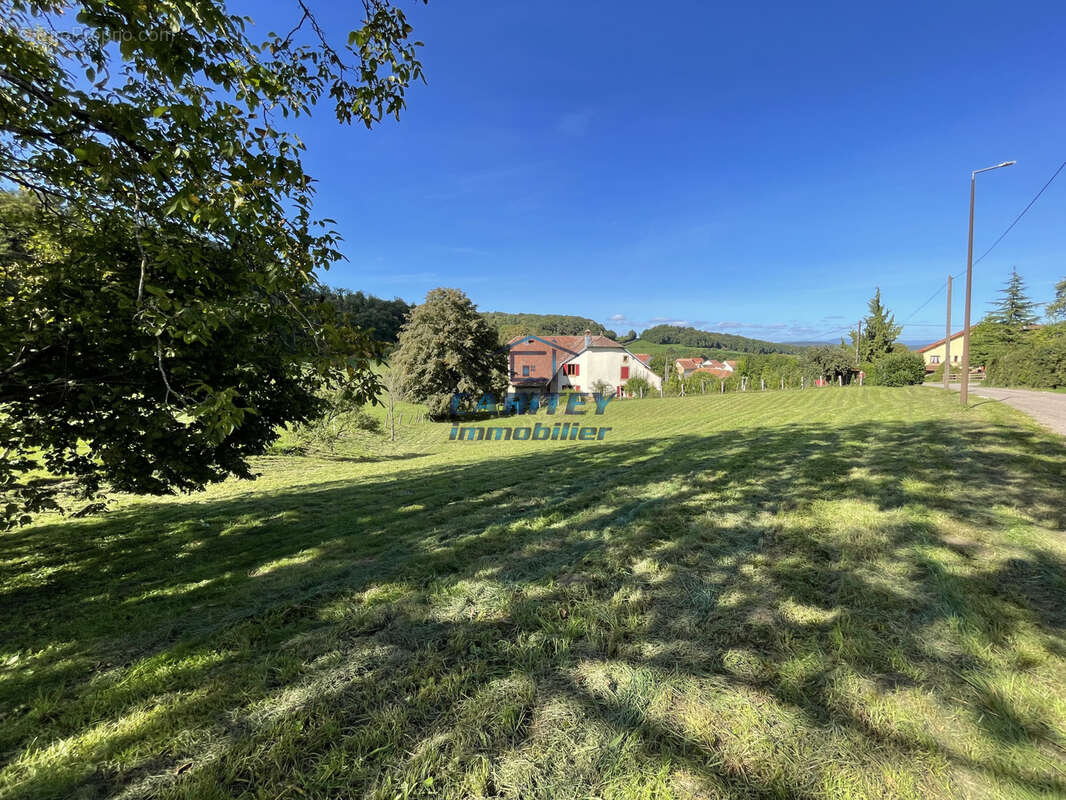 Terrain à SAULNOT