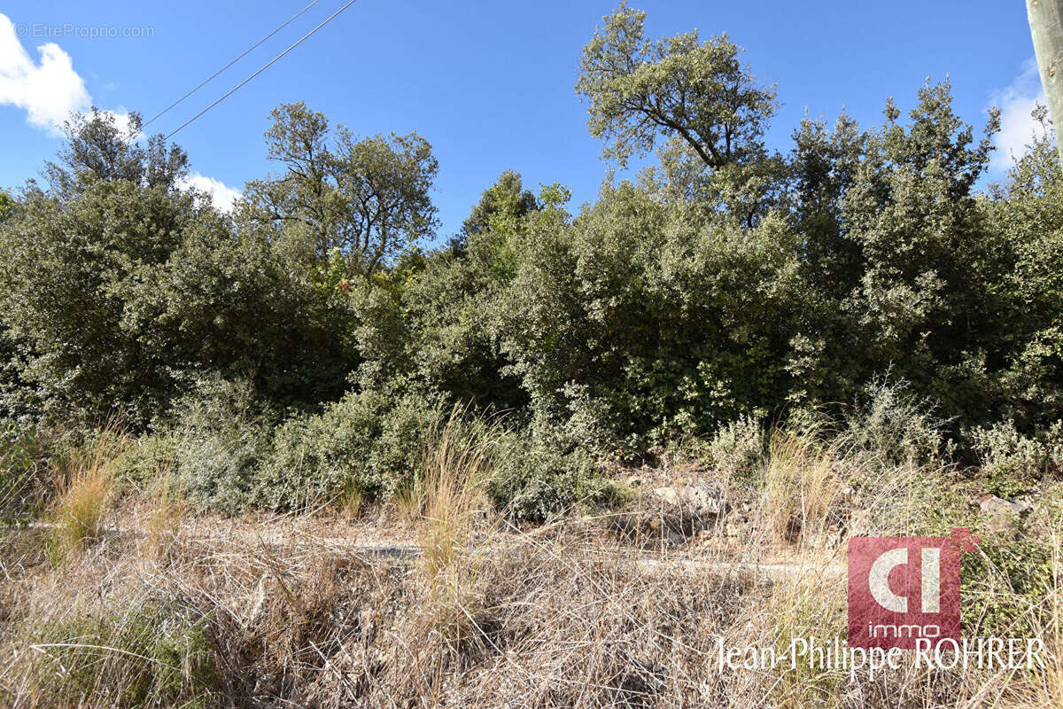 Terrain à BESSE-SUR-ISSOLE