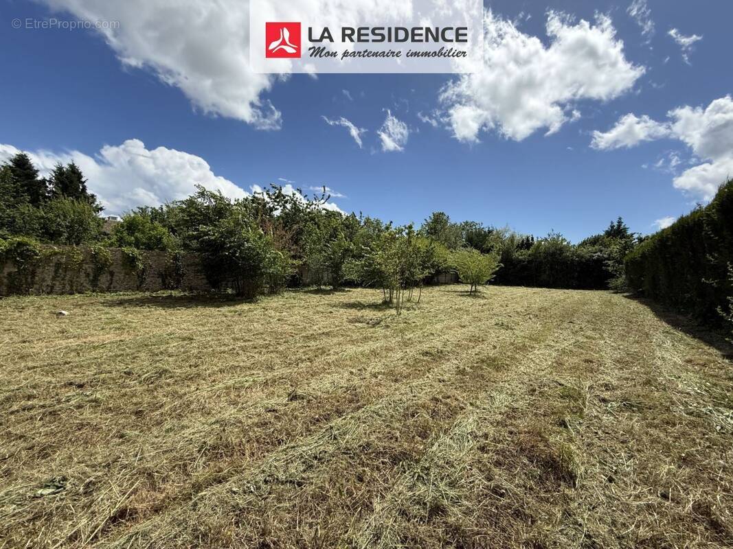 Terrain à LE MESNIL-SAINT-DENIS