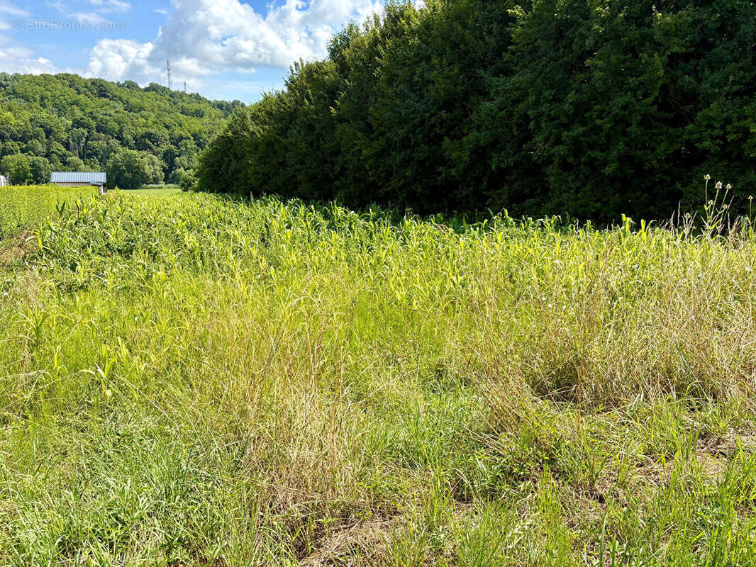 Terrain Mattaincourt 4026 m2 - photo 3