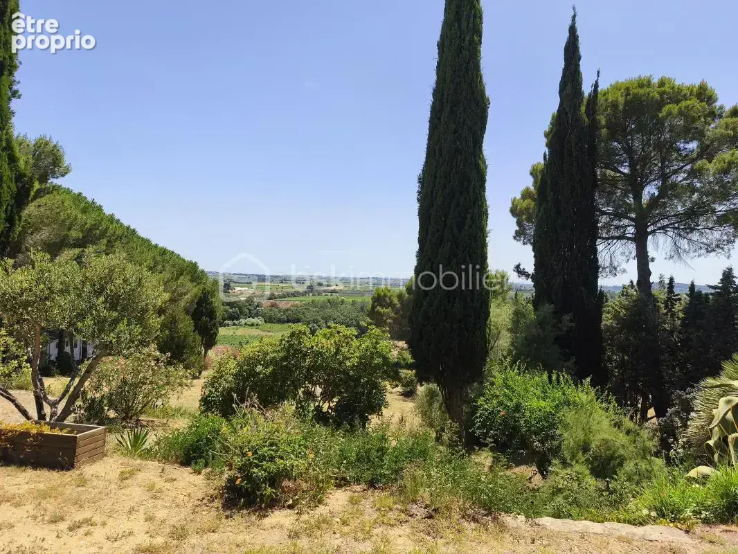 Domaine en mediterranee 2 hectares - photo 23