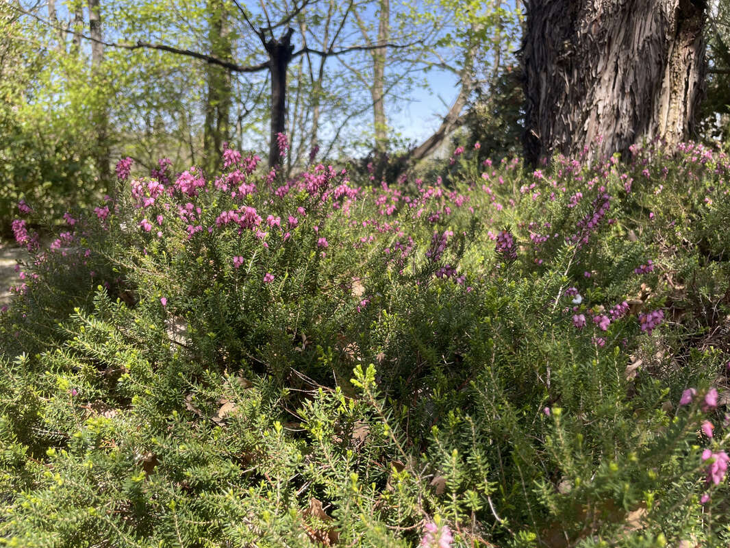 Maison à VAISON-LA-ROMAINE
