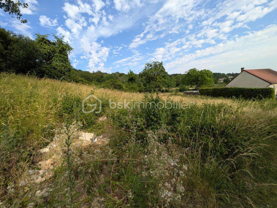 Terrain constructible à Champillon - photo 8